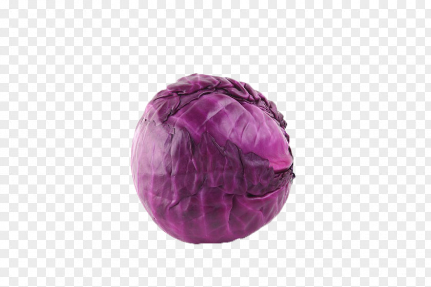 Cabbage Red Cauliflower Vegetable PNG
