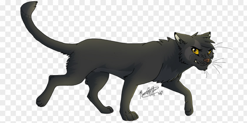 Cat Warriors Breezepelt Leafpool Nightcloud PNG