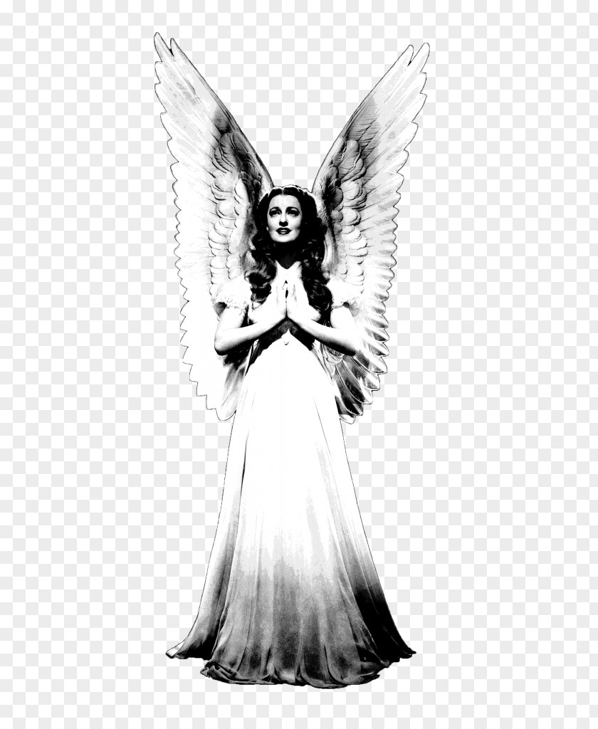 Fairy Angel Heaven Columbidae White PNG