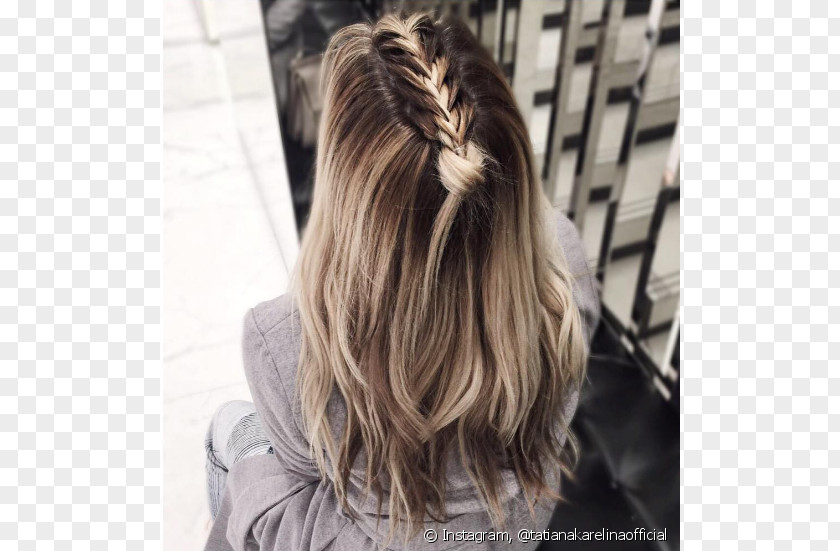 Unicorn Braid Hairstyle Being PNG