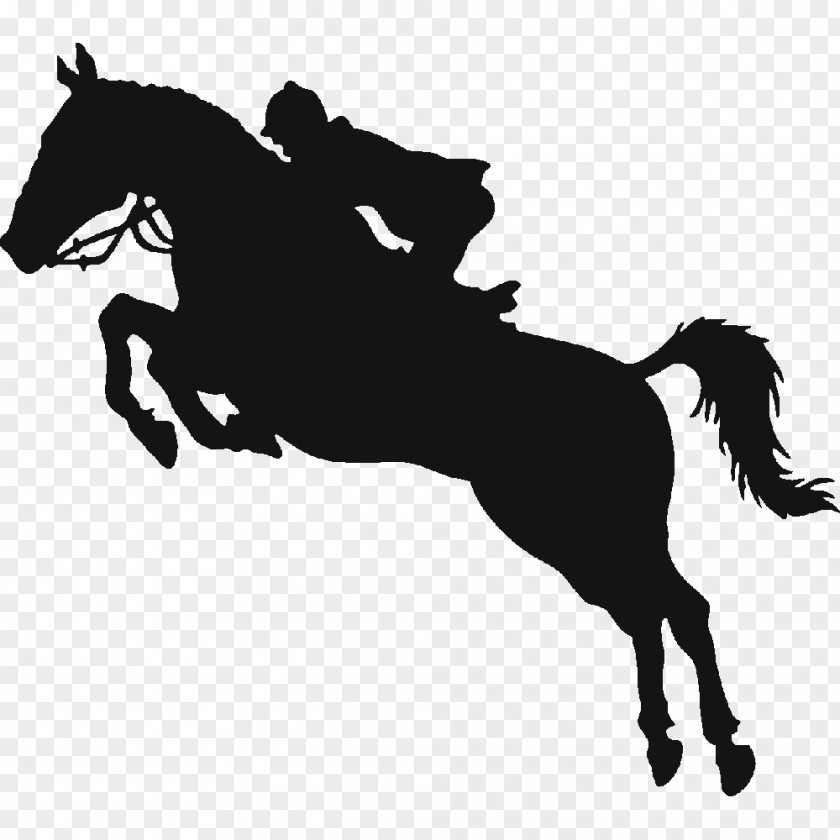 Black Horse Logo Show Equestrian Jumping PNG