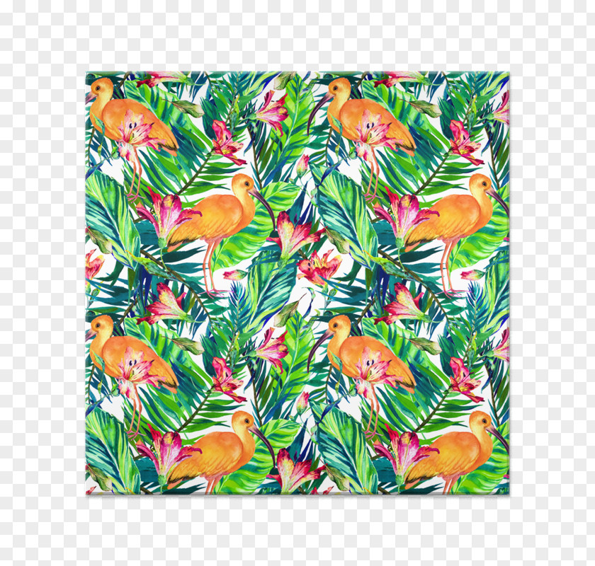 Drawing Summer Tropical Plants Bird Branching Tropics PNG