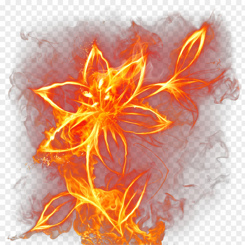 Fire Effect PNG effect clipart PNG