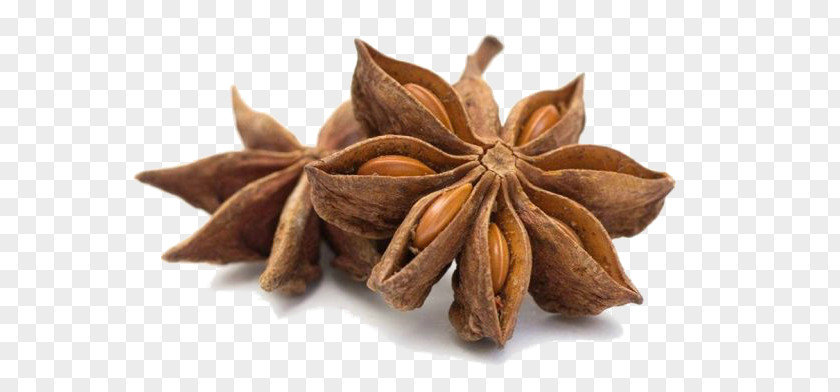 Illicium Verum Five-spice Powder Flavor Star Anise PNG