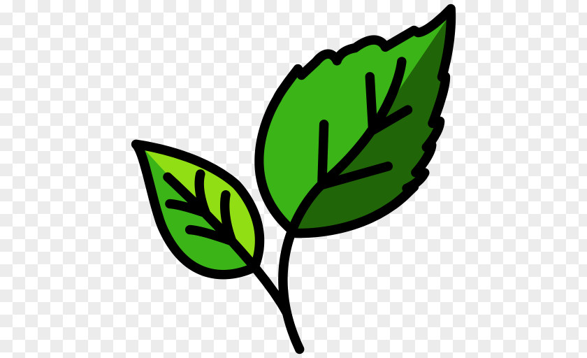 Leaf Clip Art Ecology PNG