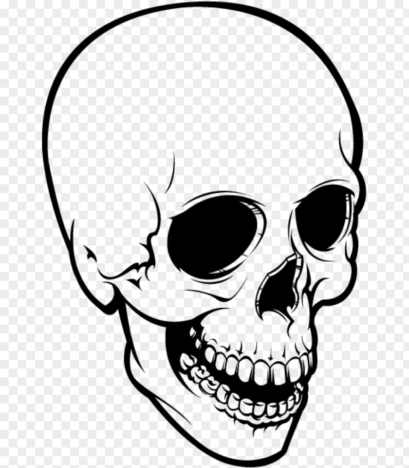Skull Skeleton Mouth PNG