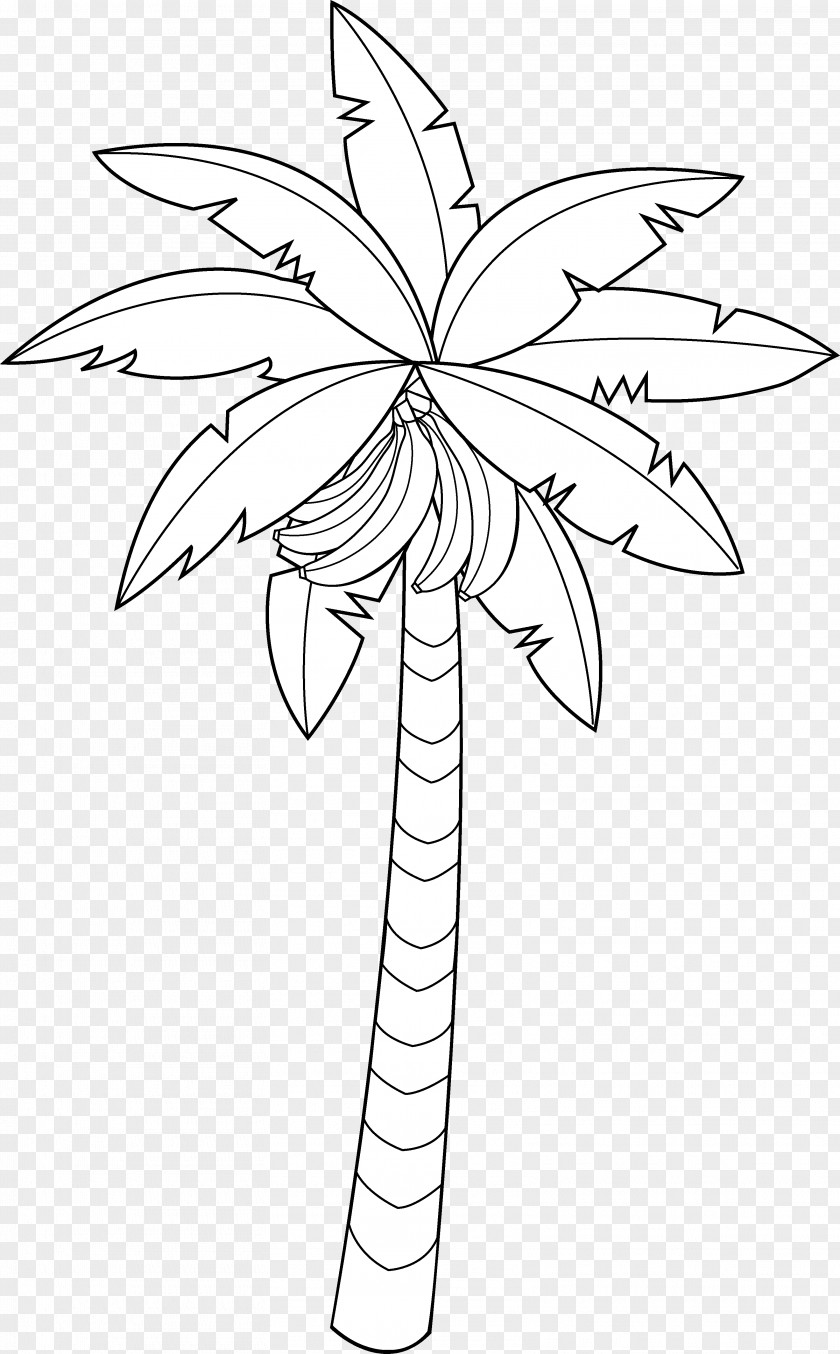 Banana Outline Cliparts Drawing Coloring Book Tree Clip Art PNG