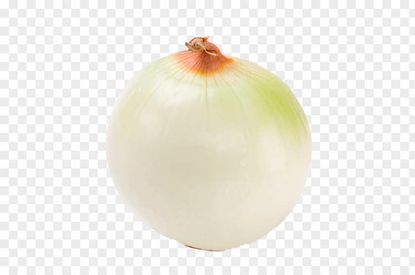 HD Peeled Onion Fruit PNG