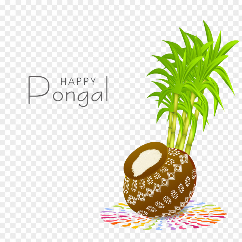 India Thai Pongal Festival Makar Sankranti Stock Photography PNG