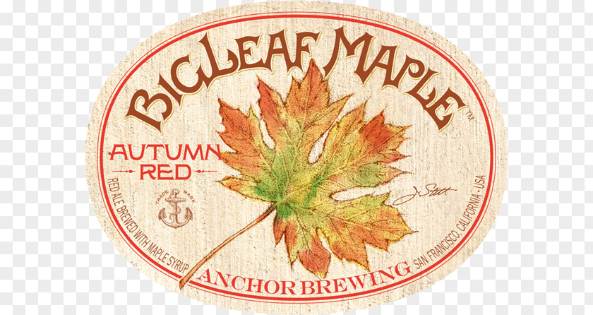 News Anchor Brewing Company Beer Irish Red Ale Bigleaf Maple PNG