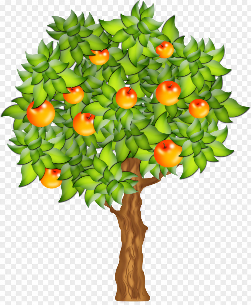 Tree Fruit Clip Art PNG