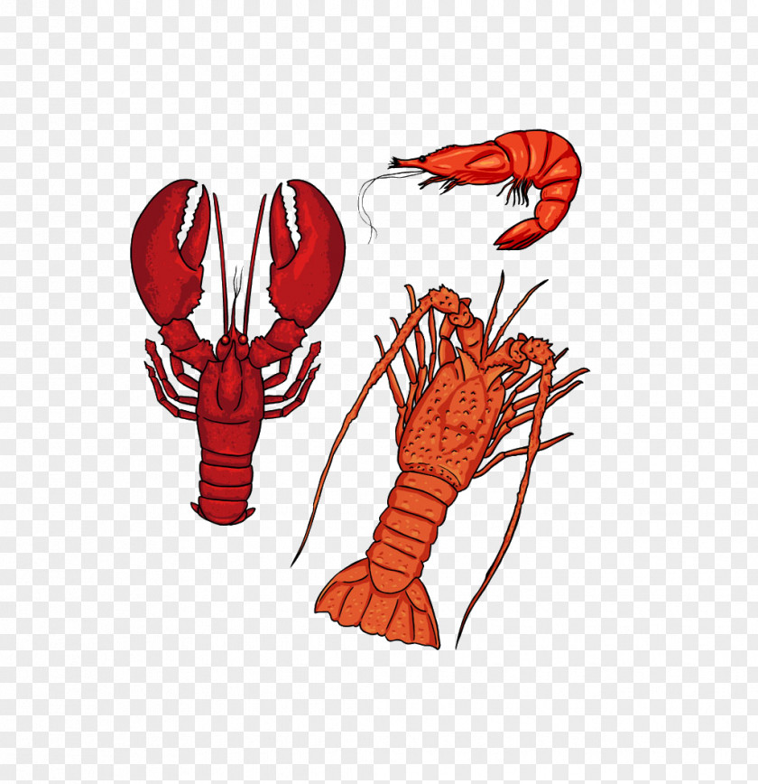 Cartoon Lobster Seafood Silhouette PNG