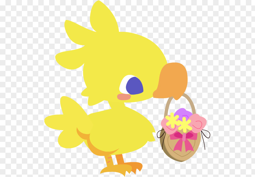 Duck Chicken Water Bird Goose PNG