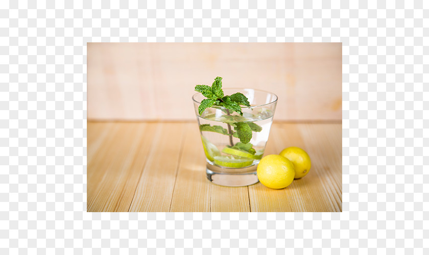 Mojito Limeade Cocktail Garnish Mint Julep Spritzer PNG