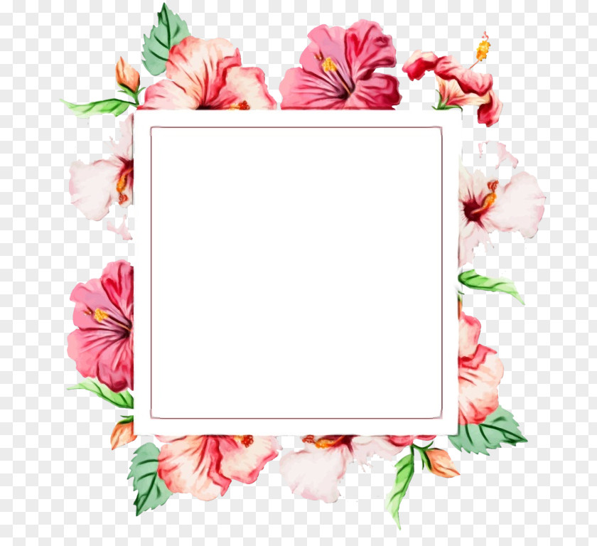 Plant Pink Background Frame PNG