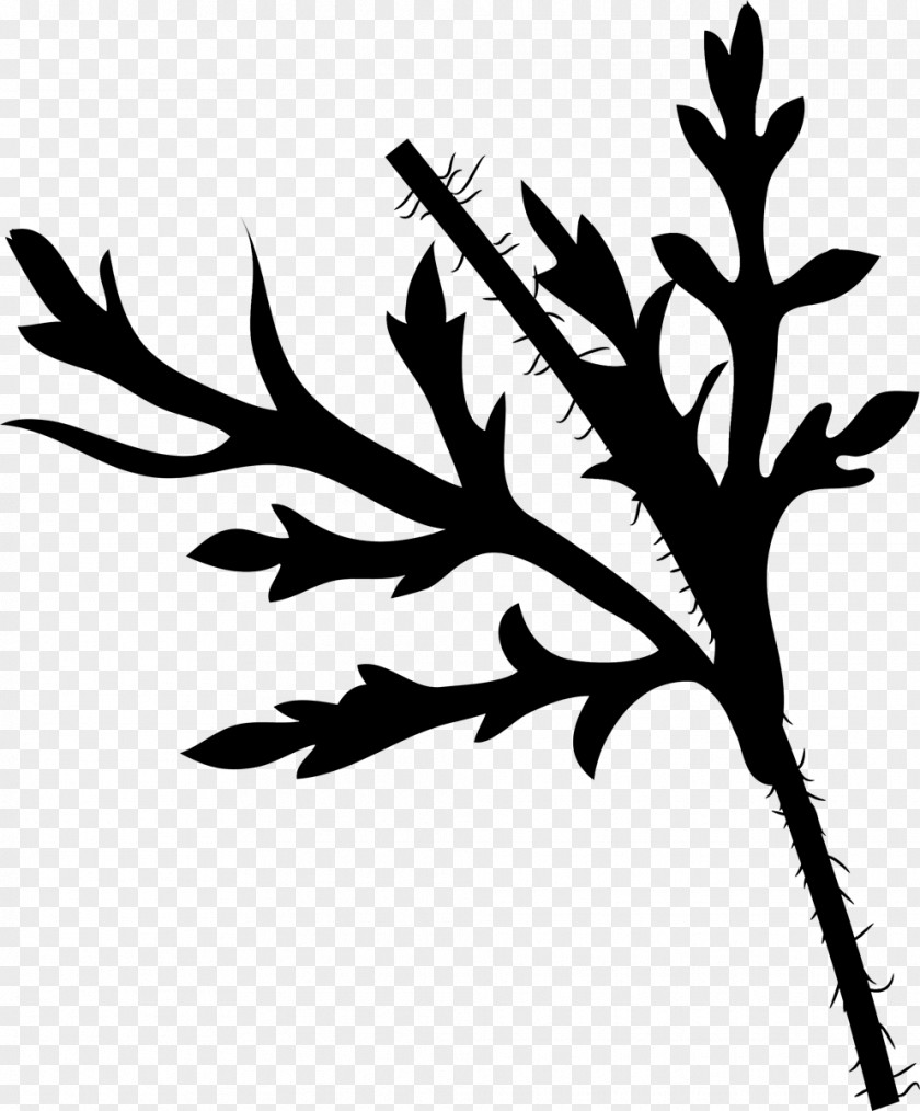 Twig Plant Stem Leaf Flower Clip Art PNG