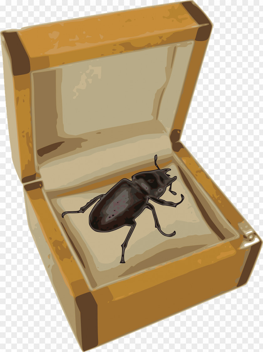 Beetle Philosophy Clip Art Image Philosopher PNG