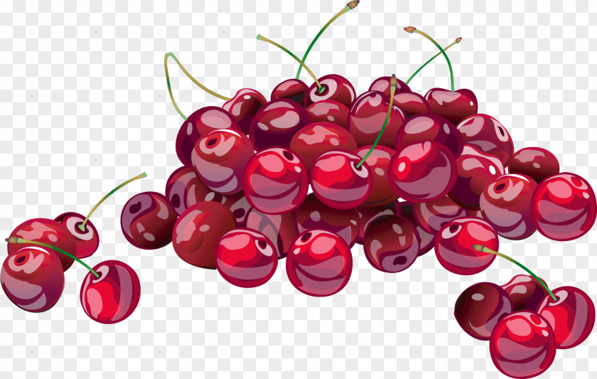Berries Juice Cherries Jubilee Sour Cherry PNG