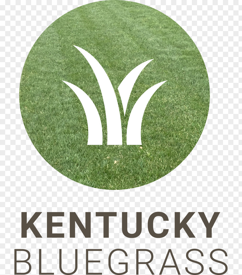 Bluegrass Logo Grasses Green Brand Font PNG