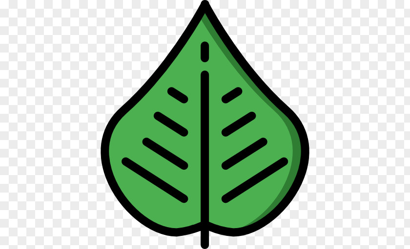 Botany Icon PNG