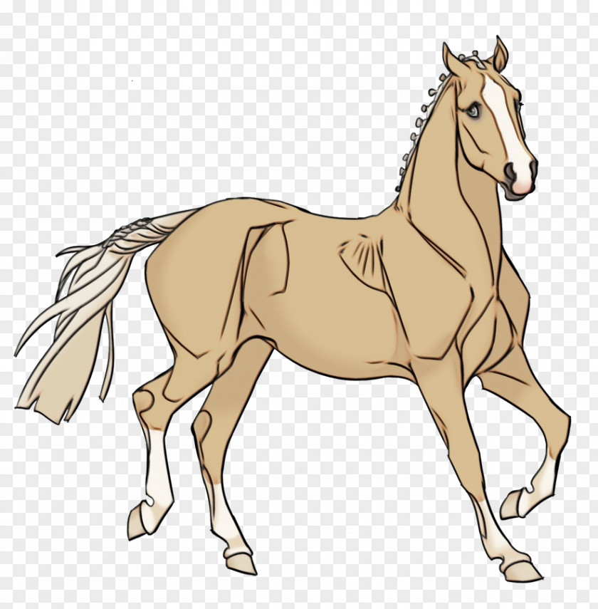 Foal Stallion Horse Sorrel Mane Line Art Animal Figure PNG