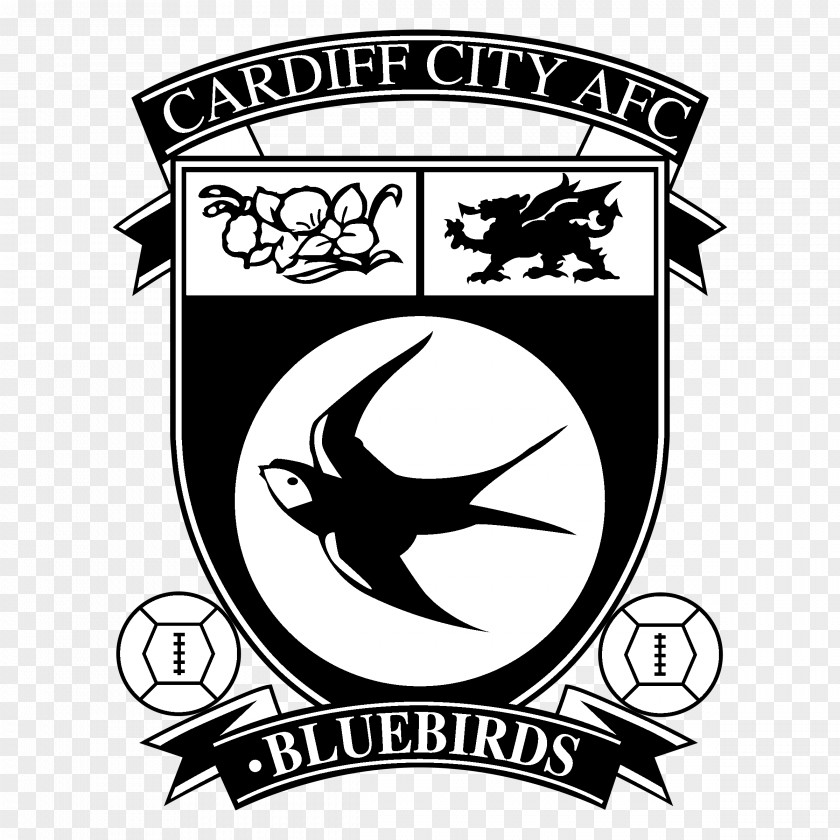 Football Cardiff City Stadium F.C. Academy English League 2018–19 Premier PNG