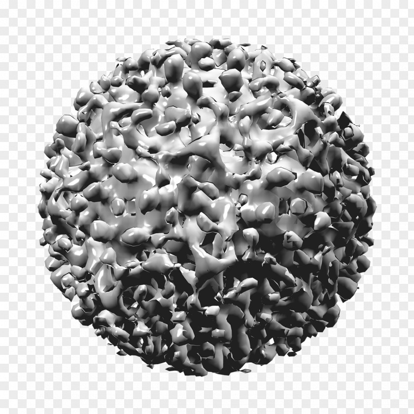 Hepatitis B Virus Viral A PNG