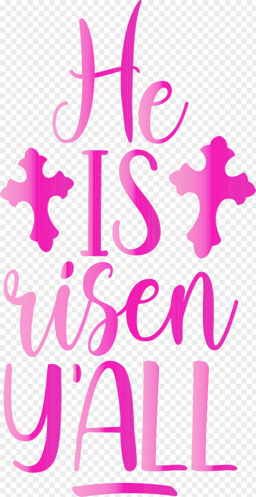 Pink Text Font Magenta PNG