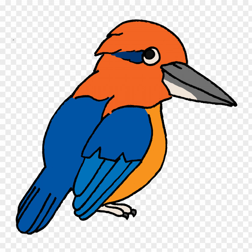 Bird Guam Kingfisher Beak Forest Clip Art PNG