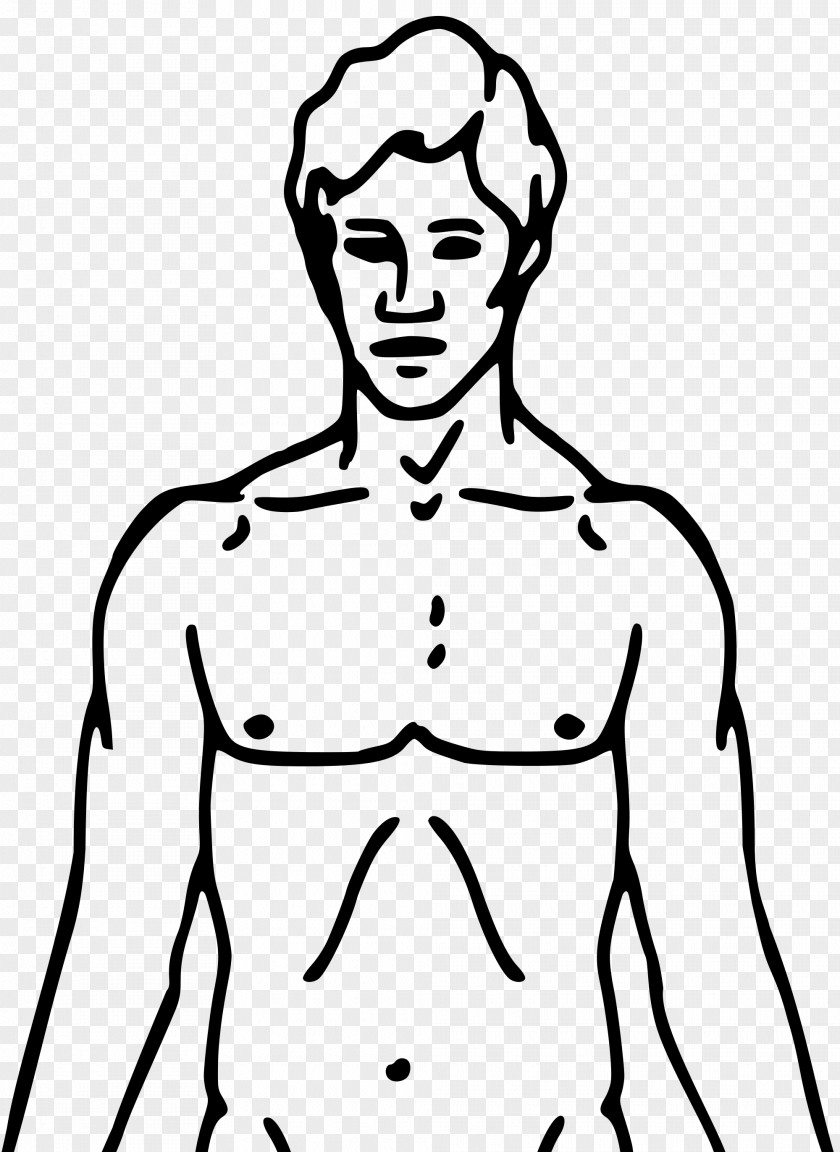 Drawing Human Body Diagram Clip Art PNG