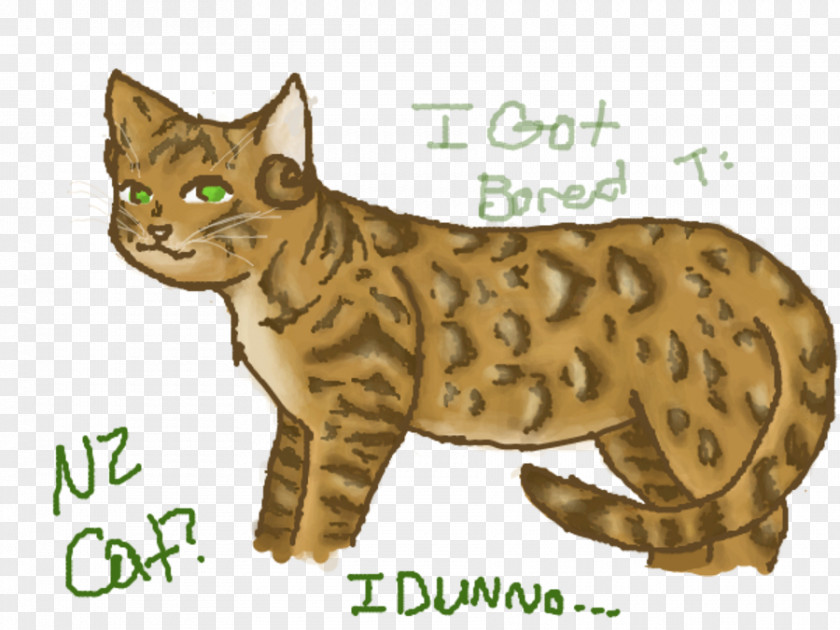 I Dunno Lol Cat Bengal Ocicat California Spangled Tabby Wildcat PNG