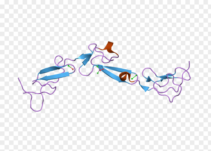 Immune System EMR2 CD97 Cluster Of Differentiation EGF-like Domain Epidermal Growth Factor PNG
