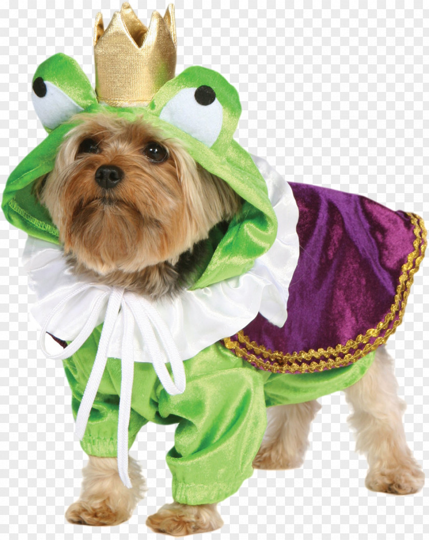 Puppy Dog Breed Chow Yorkshire Terrier Costume PNG