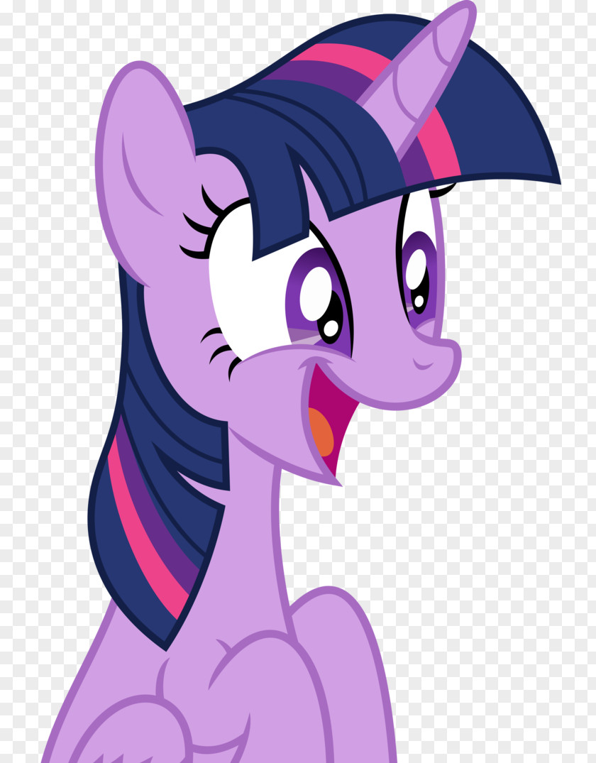 Sparkle Twilight Rarity Pony PNG