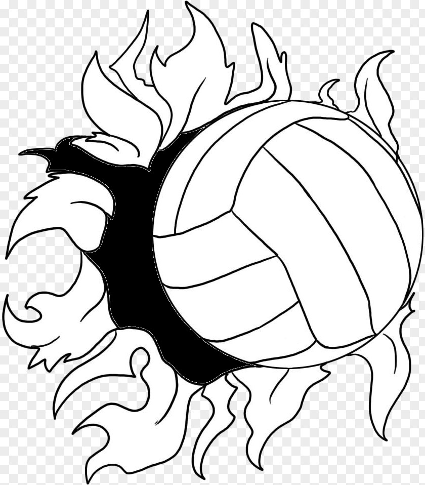 Volleyball Court Cliparts Coloring Book Page Adult PNG