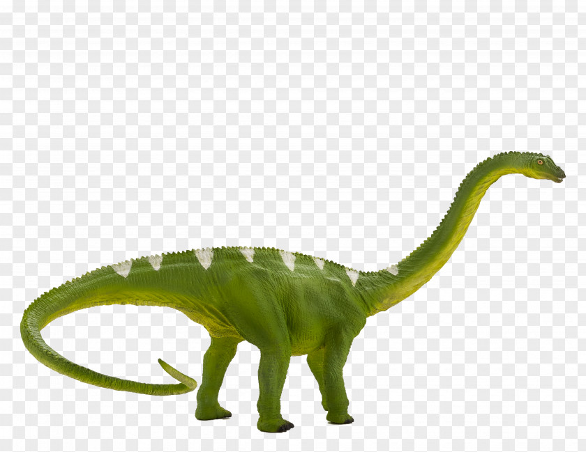 Dinosaur Diplodocus Baryonyx Tyrannosaurus Suchomimus Apatosaurus PNG