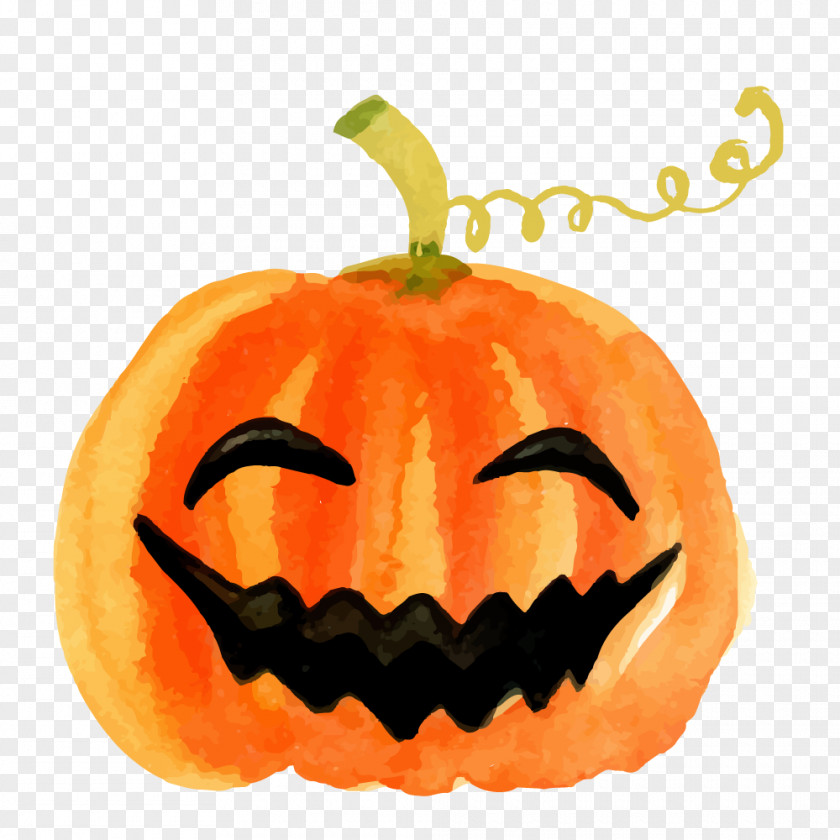 Kabocha Jack-o'-lantern Pumpkin Art Halloween David S. Pumpkins PNG