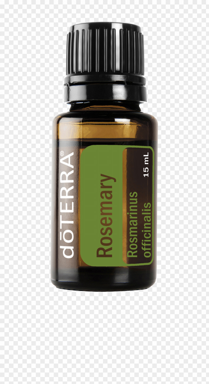 Oil Peppermint DoTerra Essential Lavender PNG