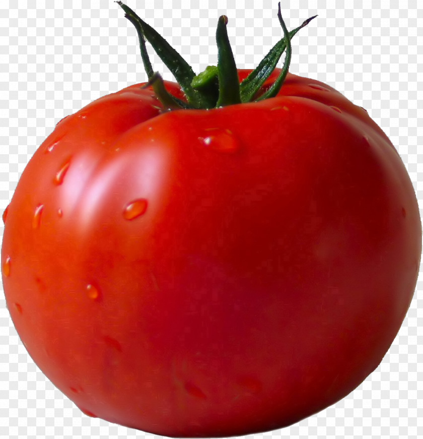 Tomato Sauce Vegetable Clip Art PNG