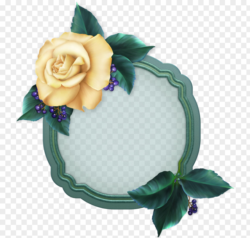Conch Frame Uihere Clip Art Paper Cut Flowers PNG