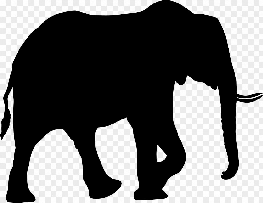 Elephany African Elephant Silhouette Bear Clip Art PNG