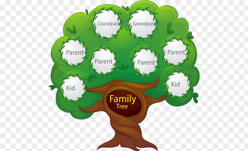 Family Tree Genealogy Clip Art PNG