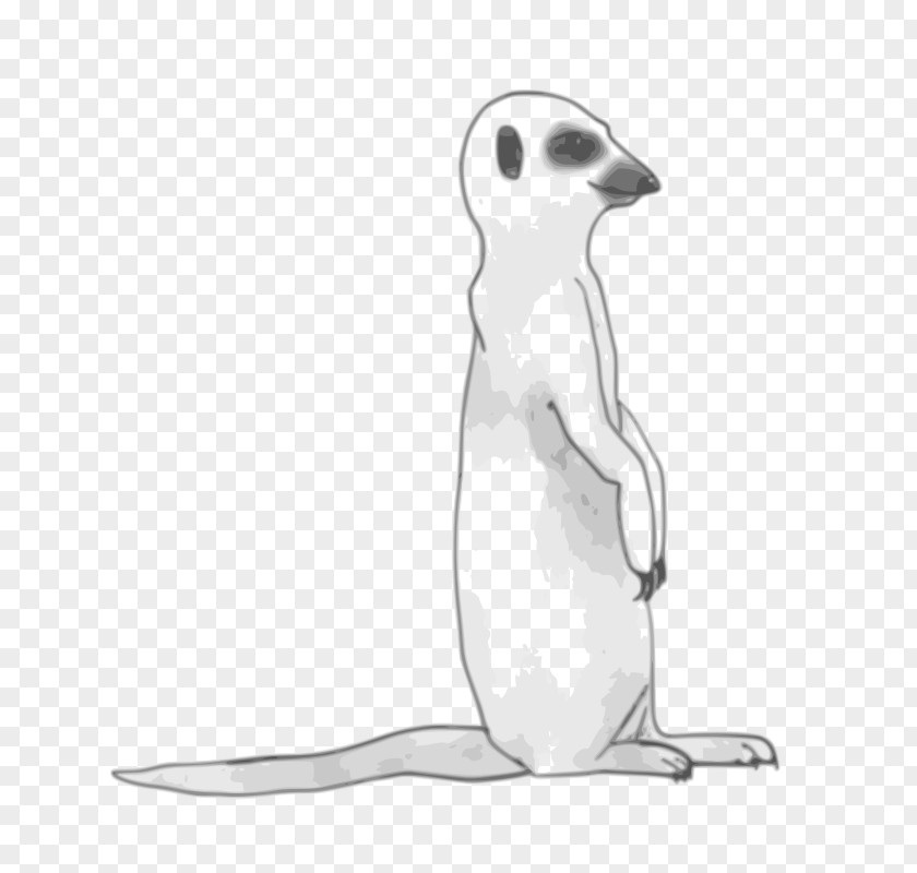 Meerkat Cliparts Drawing Clip Art PNG