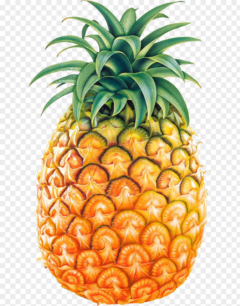 Pineapple Image, Free Download Fruit Clip Art PNG
