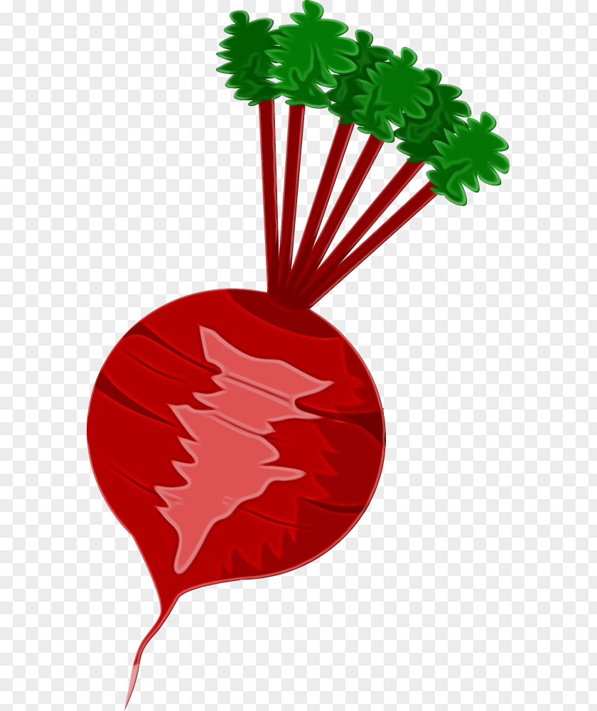 Plant Stem Vegetable Clip Art Leaf PNG