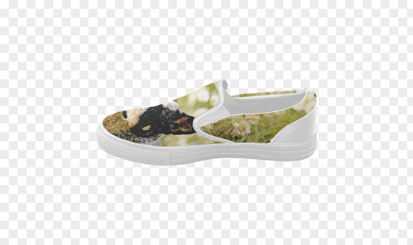 Pretty Slip Shoe PNG