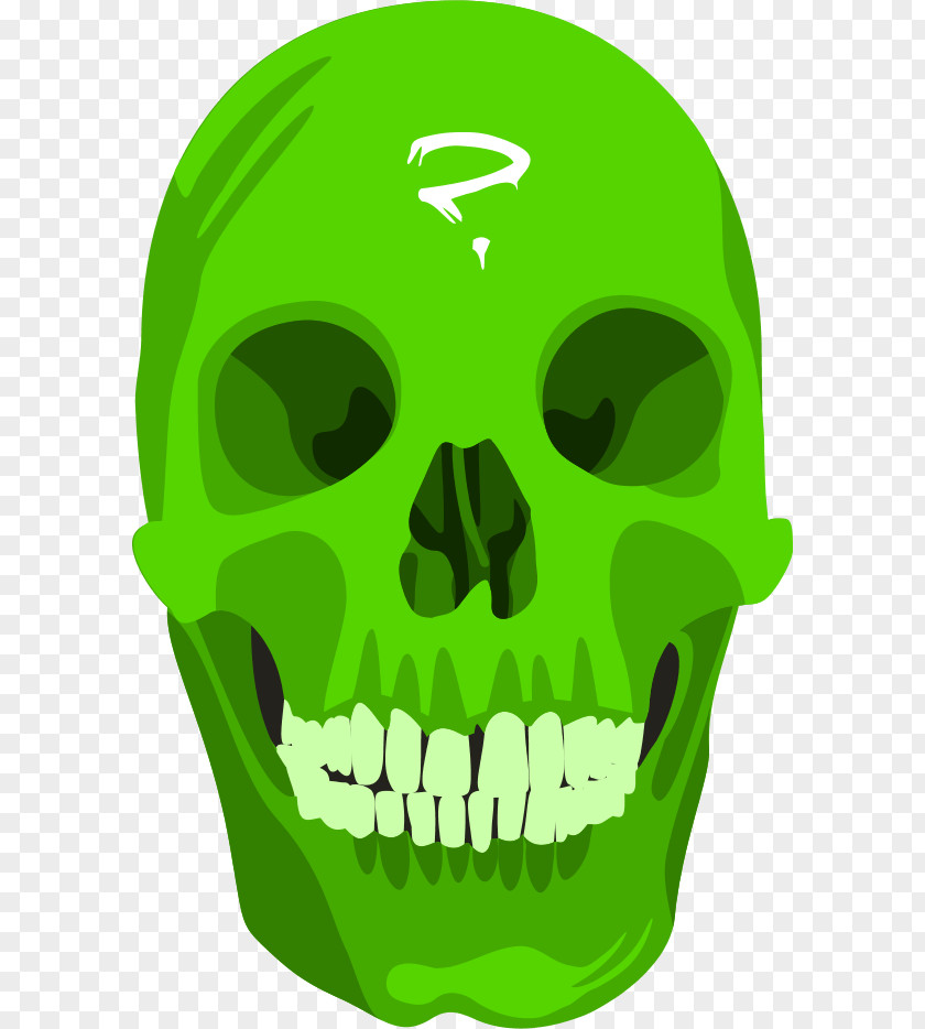 Question Mark Vector Human Skull Symbolism Free Content Clip Art PNG