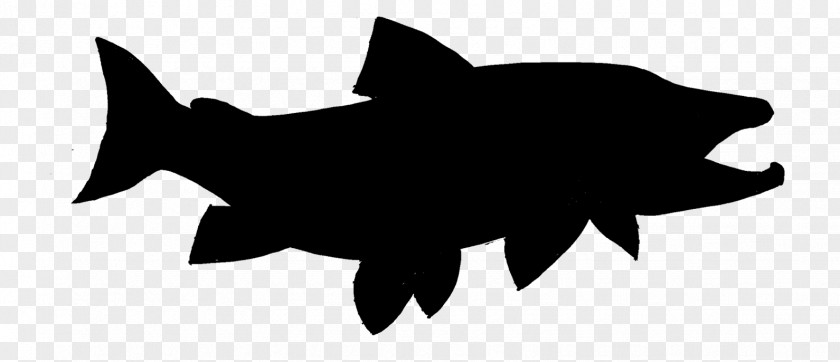 Shark Clip Art Silhouette Black M PNG
