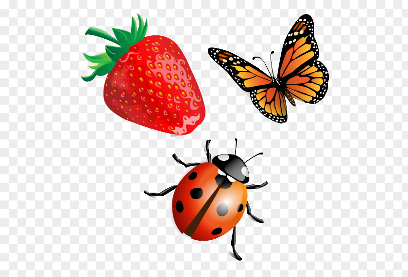 Strawberry Butterfly And Ladybug Beetle Ladybird Clip Art PNG