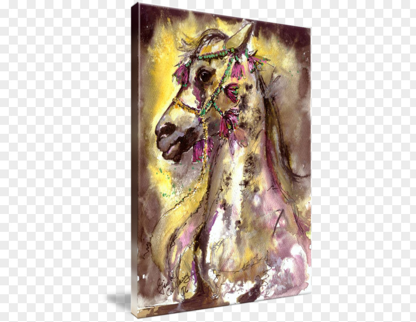 Watercolour Horses Watercolor Painting Gallery Wrap Horse Canvas PNG